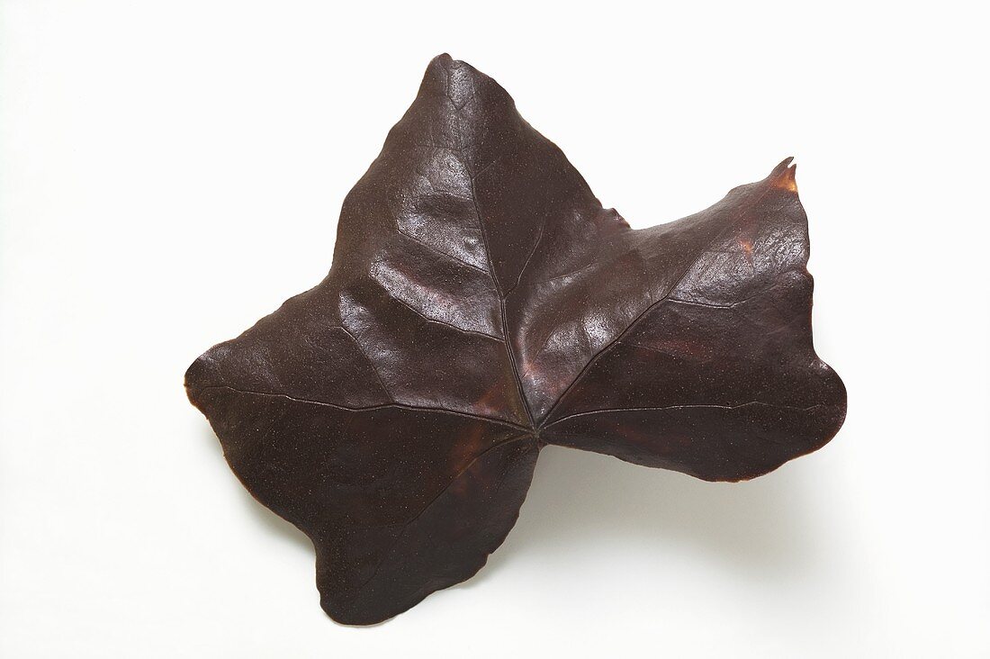 Schokoladenblatt