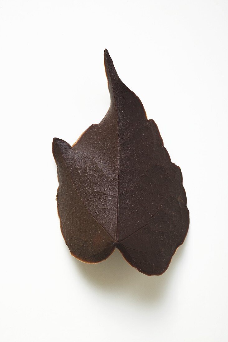 A chocolate leaf