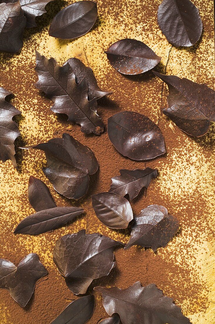 Verschiedene Schokoladenblätter auf Kakaopulver (Draufsicht)