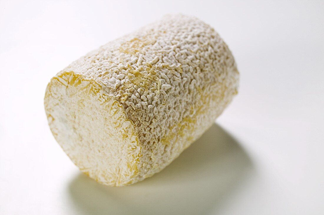 Goat's cheese, log-shaped