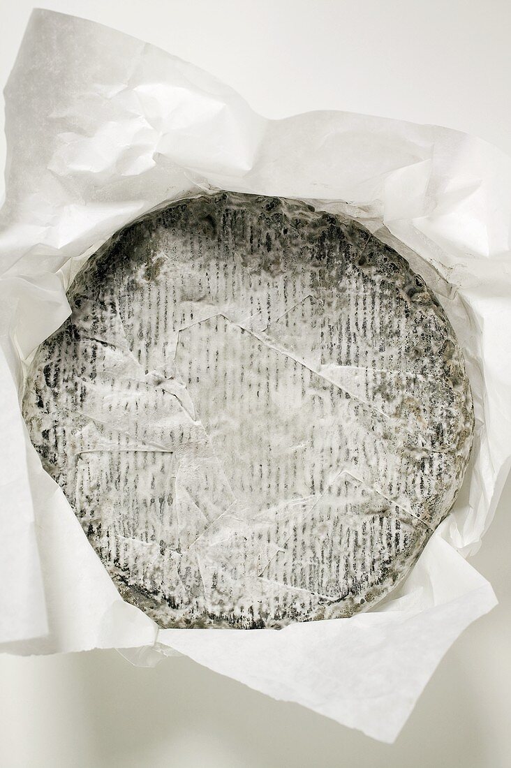 Soft cheese in paper (overhead view)