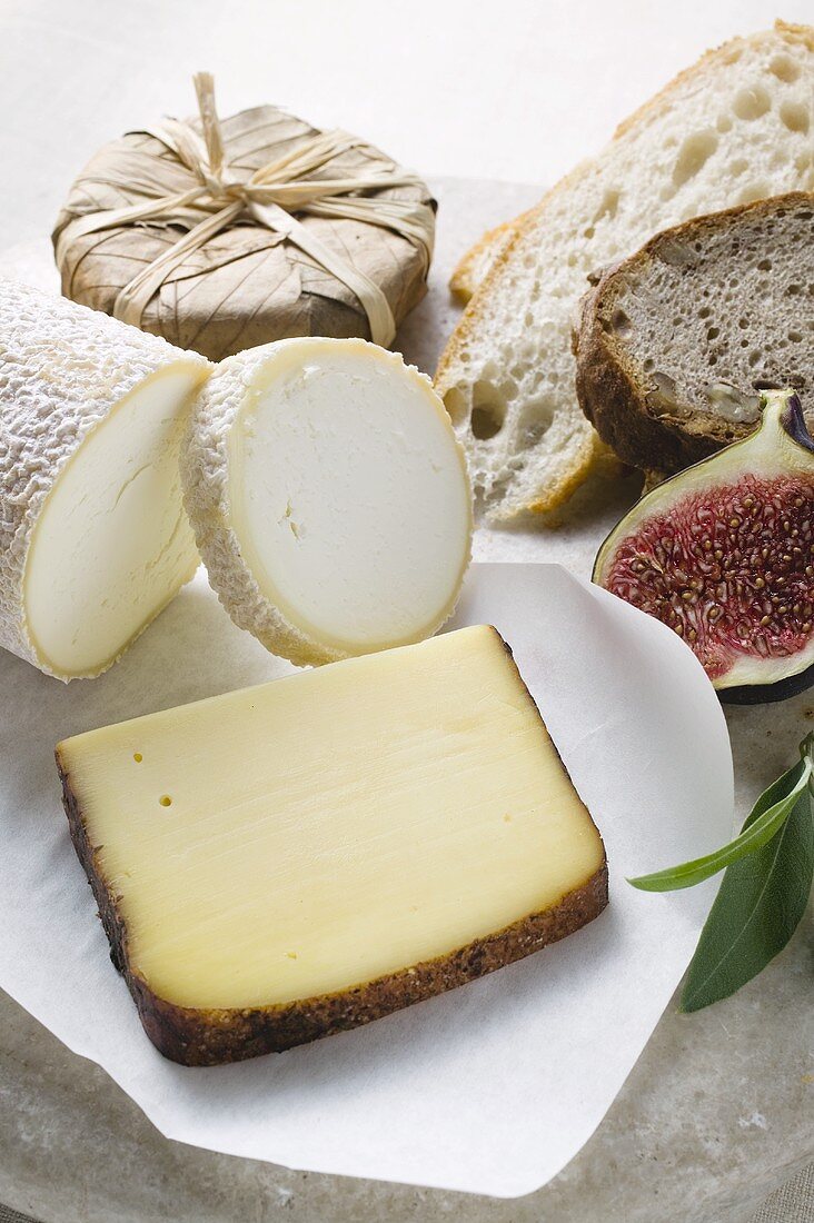 Cheese still life with bread and half a fig