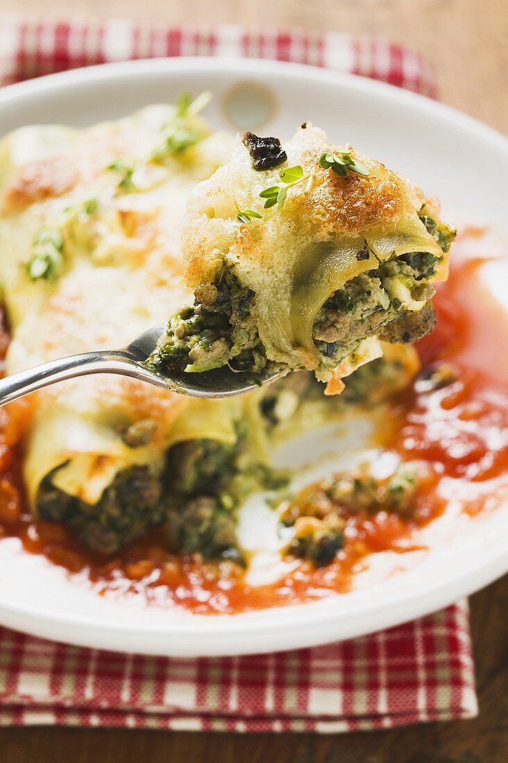 Cannelloni mit Spinat-Schafskäse-Füllung in Tomatensauce