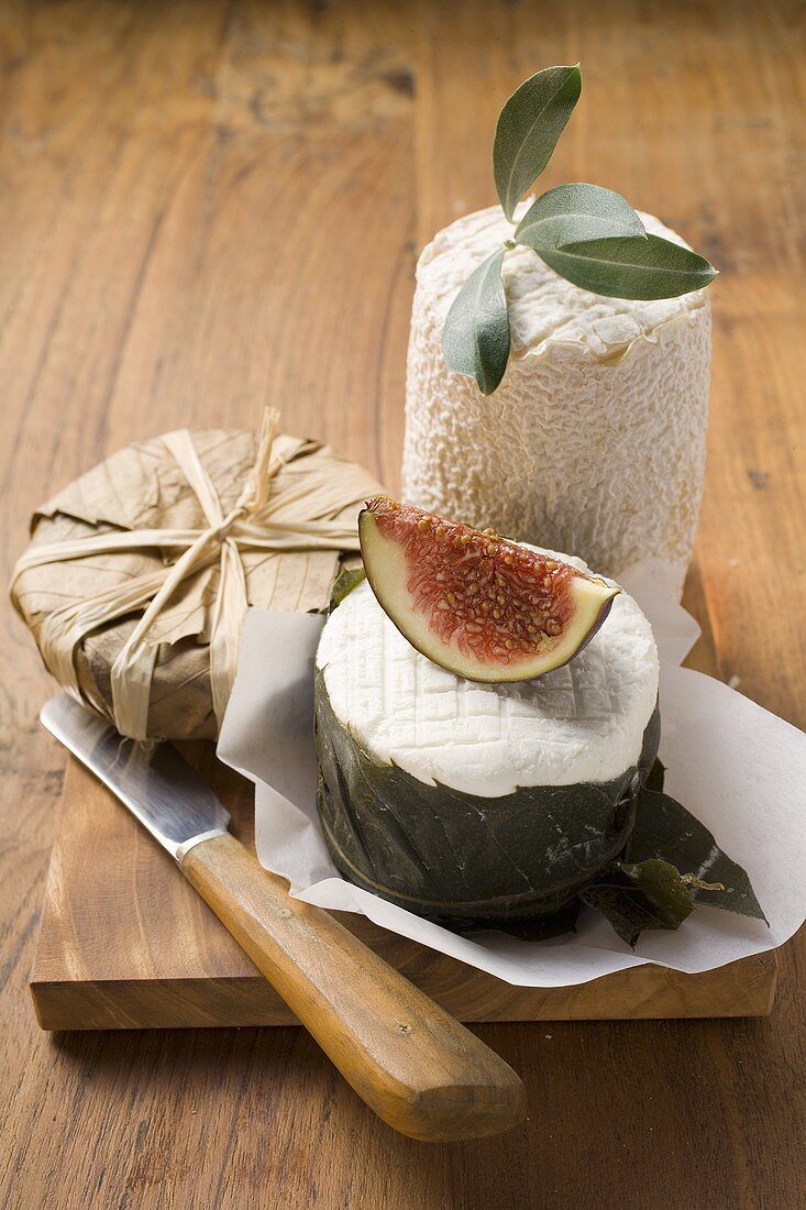 Cheese still life with fig on chopping board