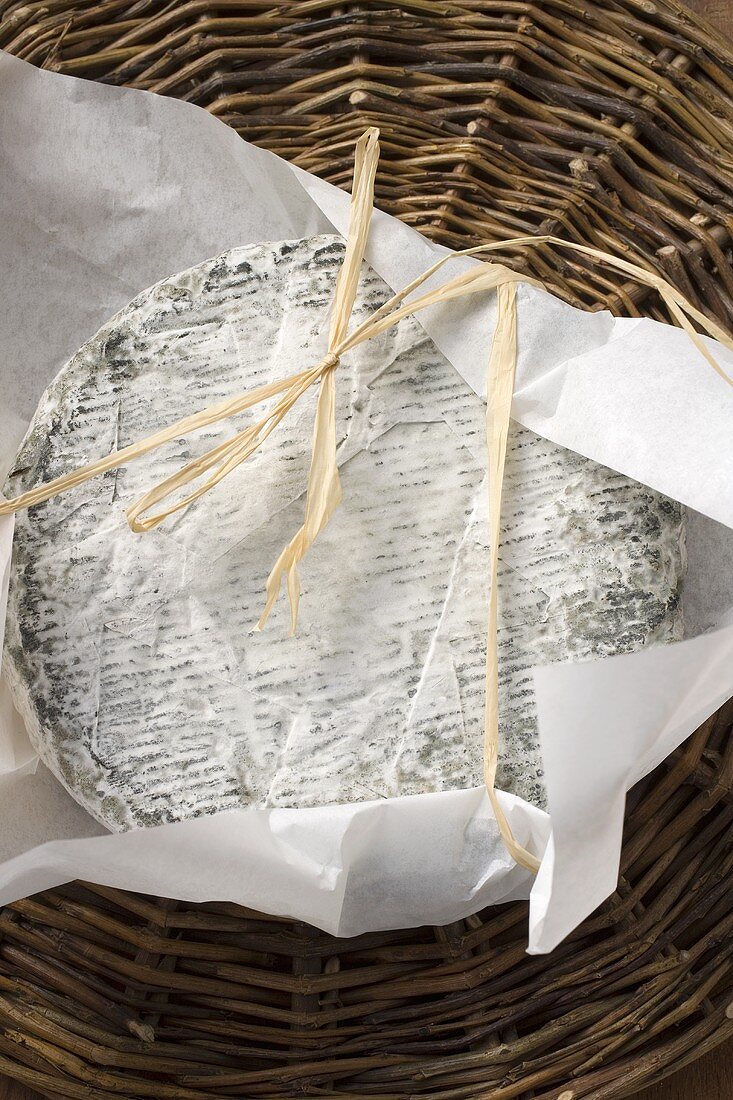 Blue cheese (Bresse Bleu, France)