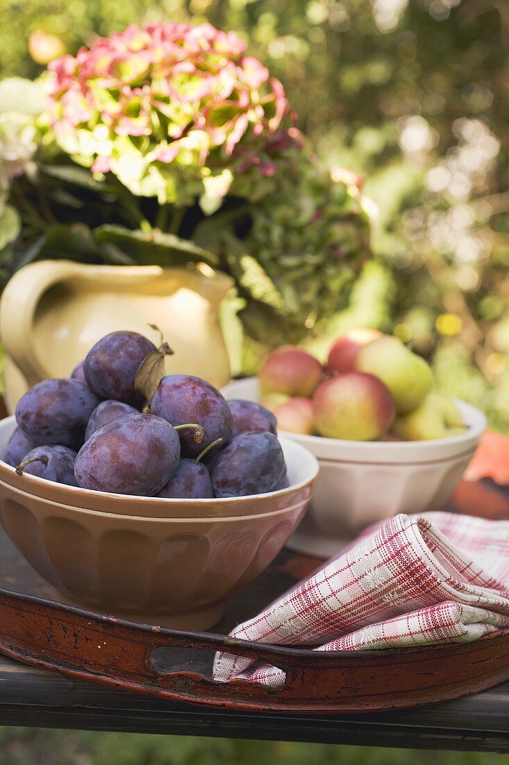 Plums and apples in bowls on tray on garden table