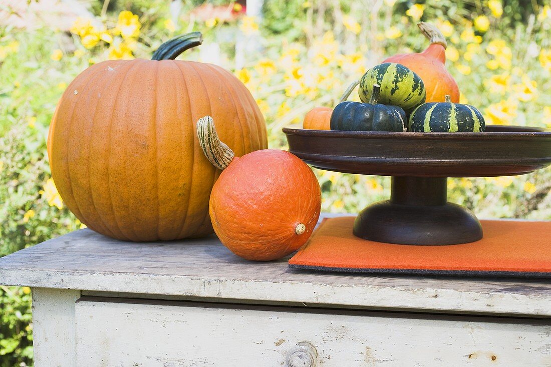 Assorted squashes and pumpkins on garden table (outdoors)