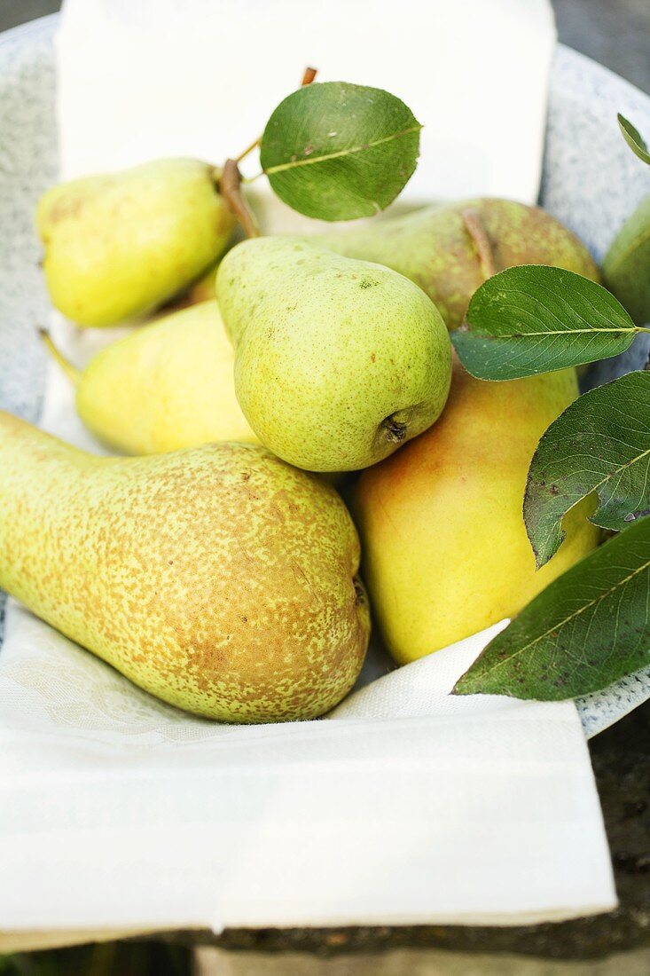 Fresh pears with leaves in bowl