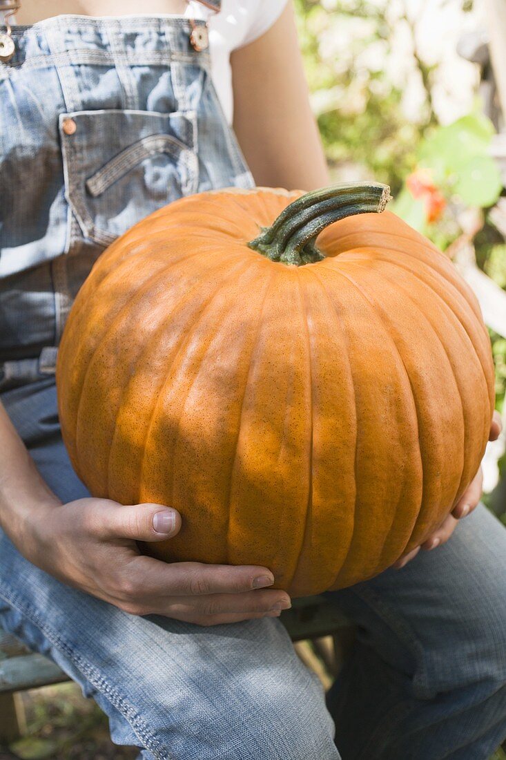 Person holding giant orange pumpkin