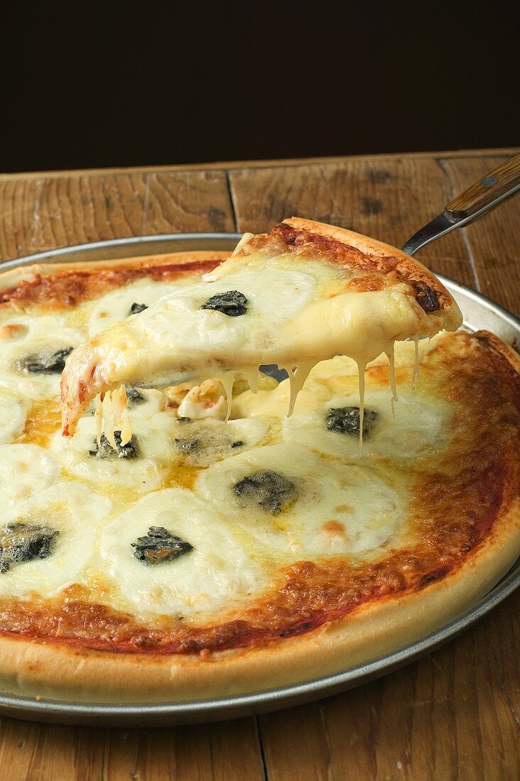 Drei-Käse-Pizza (amerikanische Art) mit Stück auf Heber