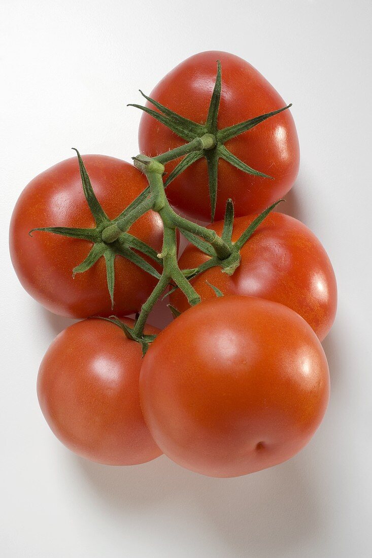 Frische Tomaten