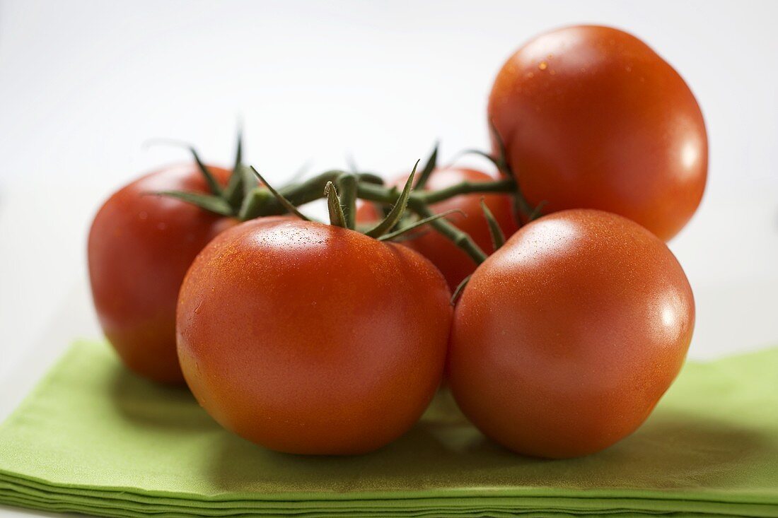 Frische Tomaten auf grünem Tuch