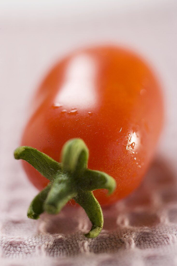 Plum tomato with drops of water (close-up)