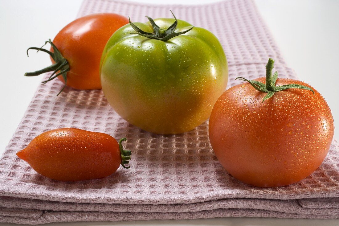 Four different tomatoes on tea towel