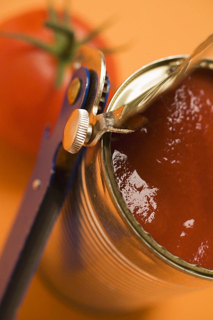 Tinned tomatoes (close-up)