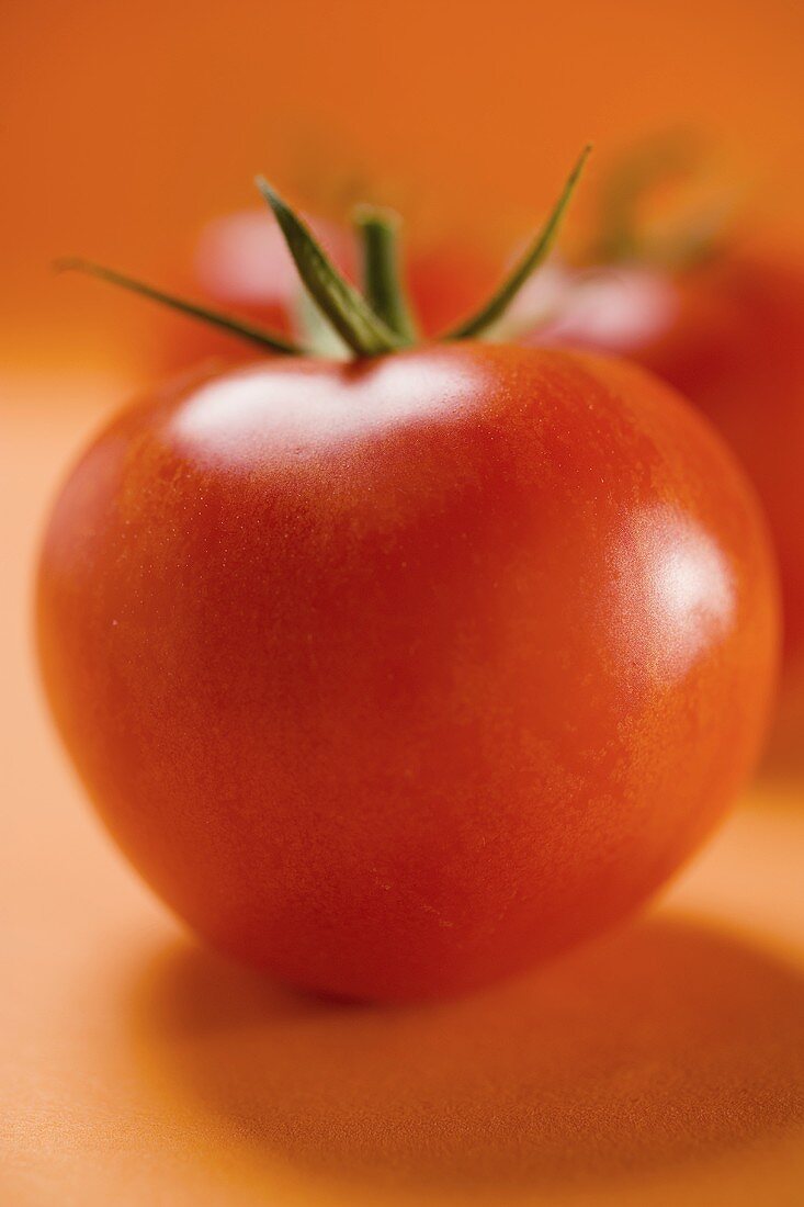 Tomatoes on orange background