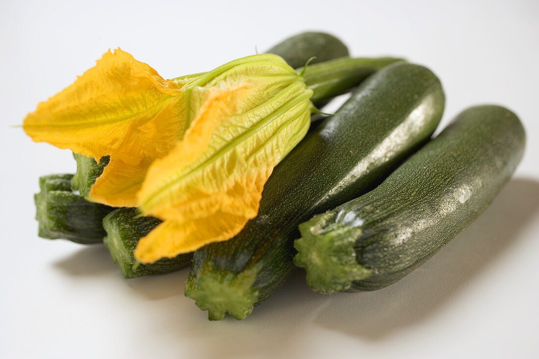 Zucchini mit Zucchiniblüte