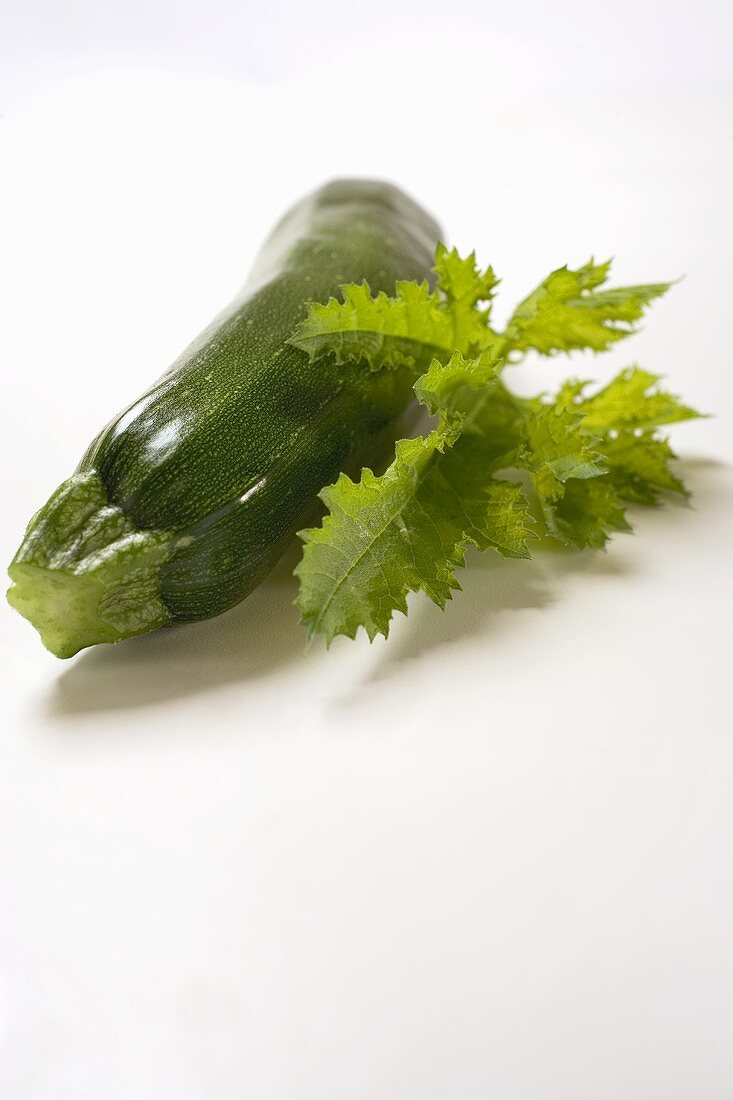 Courgette with leaf