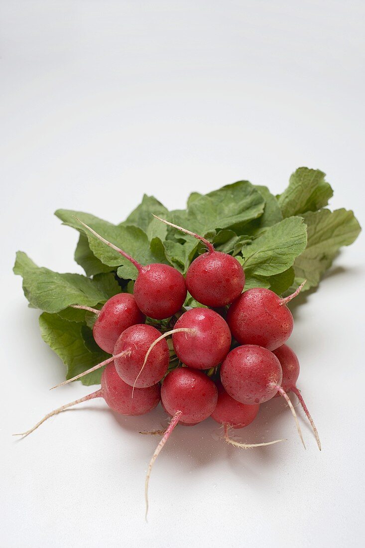 A bunch of radishes