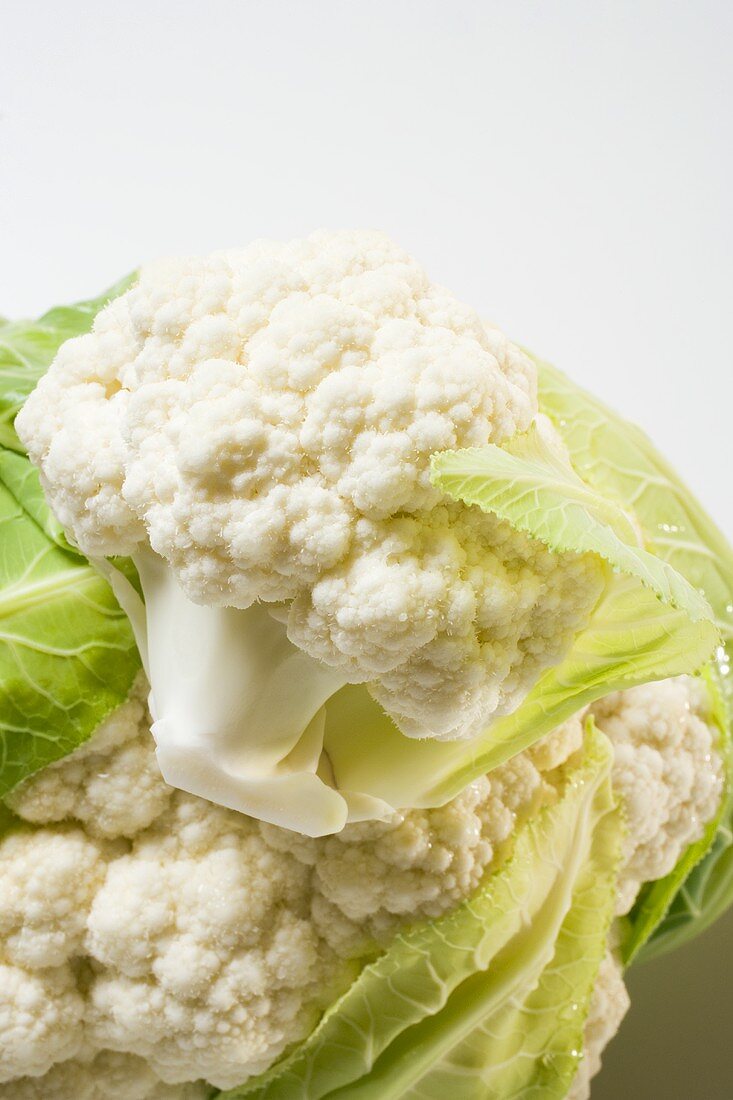 Cauliflower with cauliflower floret