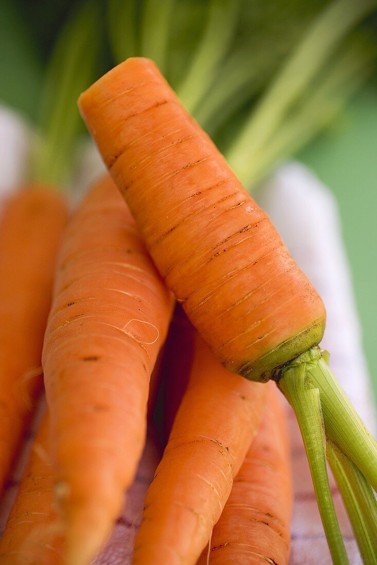 Fresh carrots on tea towel (close-up)