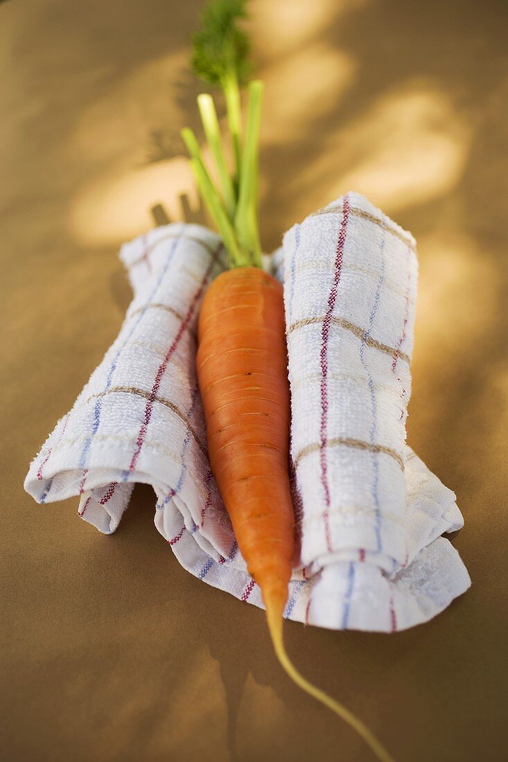 Fresh carrot on tea towel