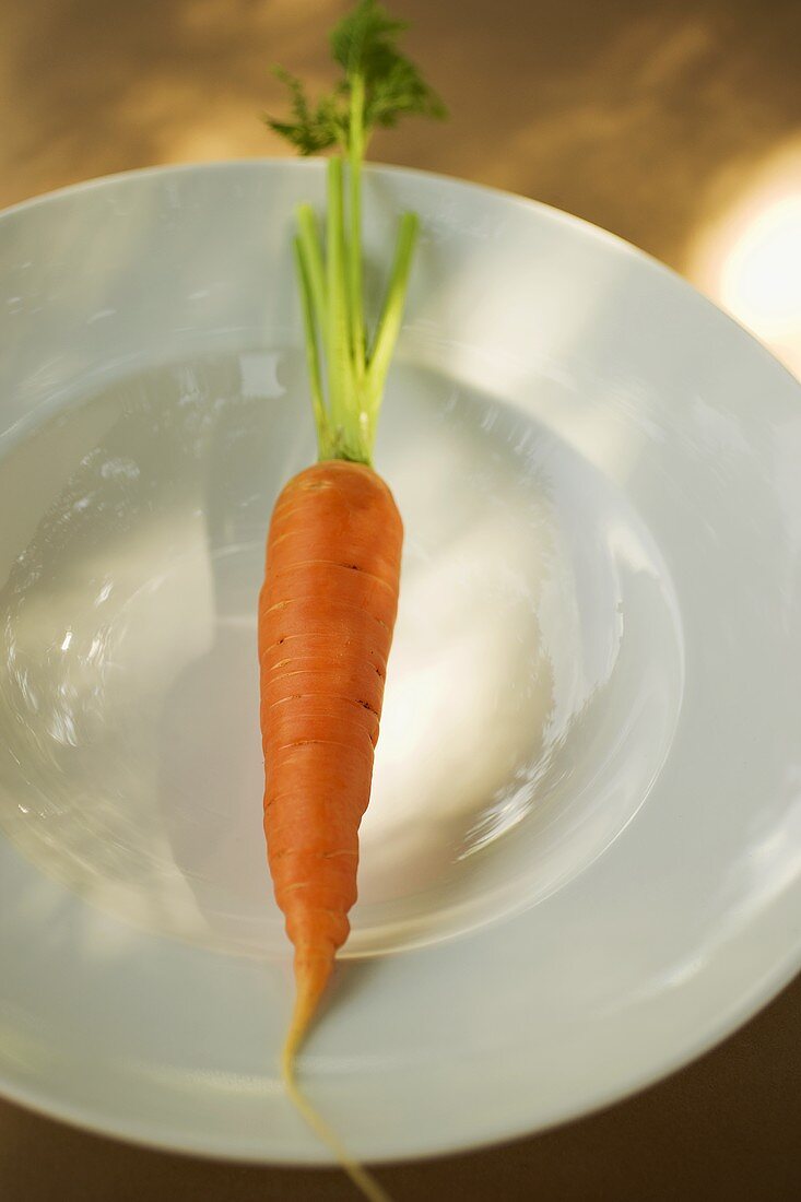 Fresh carrot on white plate
