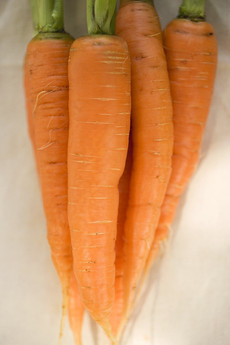 Fresh carrots on linen cloth