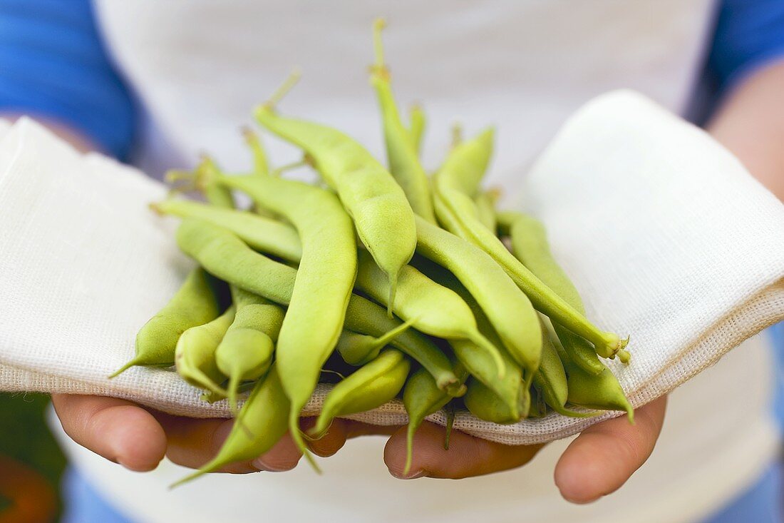 Hands holding green beans on linen cloth