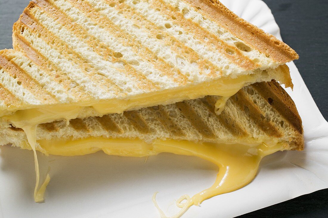 Toasted cheese sandwiches on paper plate