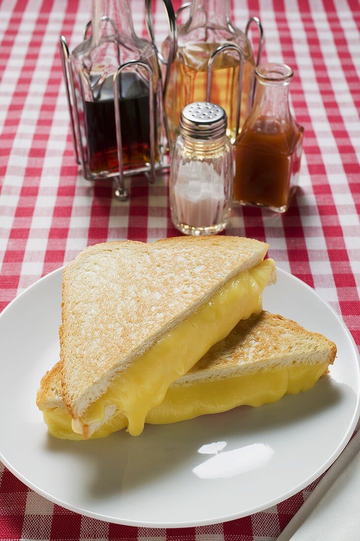 Toasted cheese sandwiches on plate, vinegar, oil, seasonings