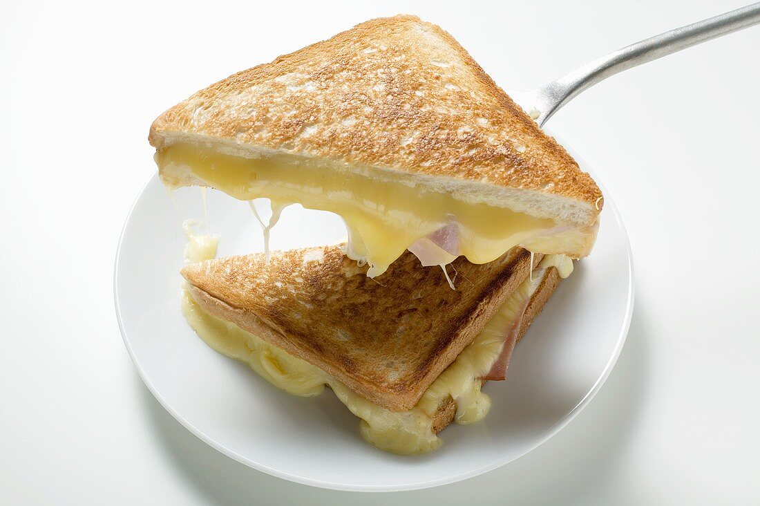 Toasted ham and cheese sandwiches on plate