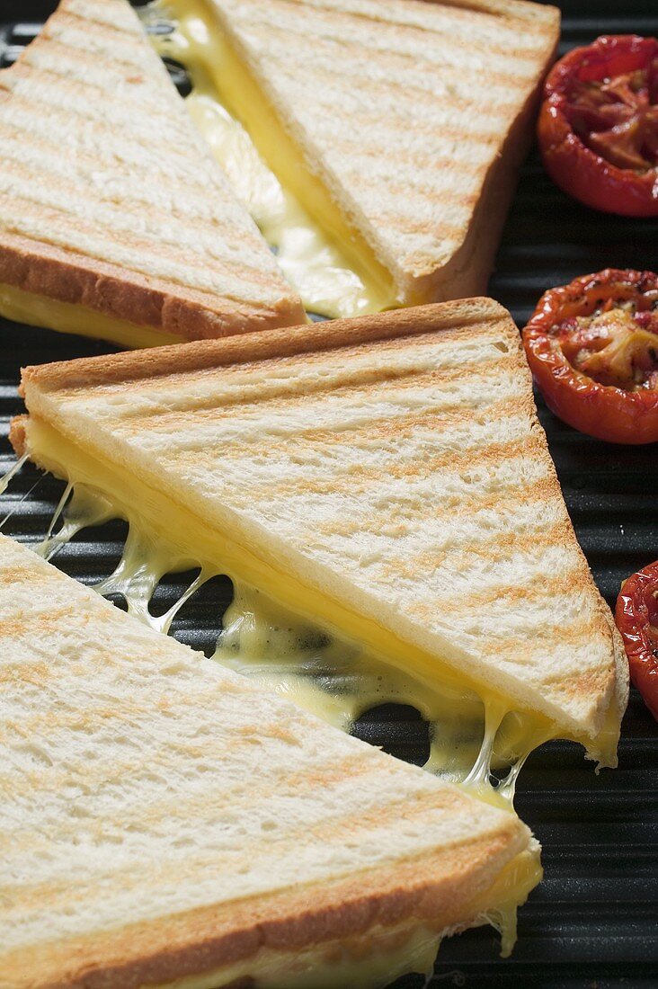 Toasted cheese sandwiches & tomatoes on grill plate (close-up)