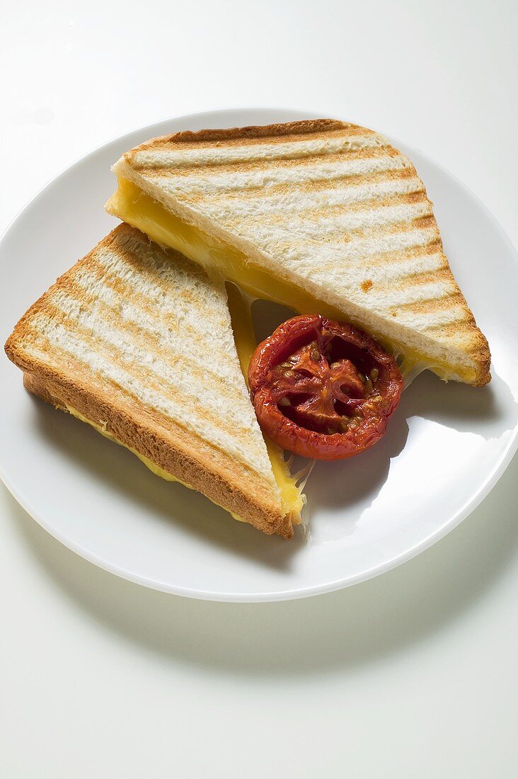 Toasted cheese sandwiches and grilled tomato on plate