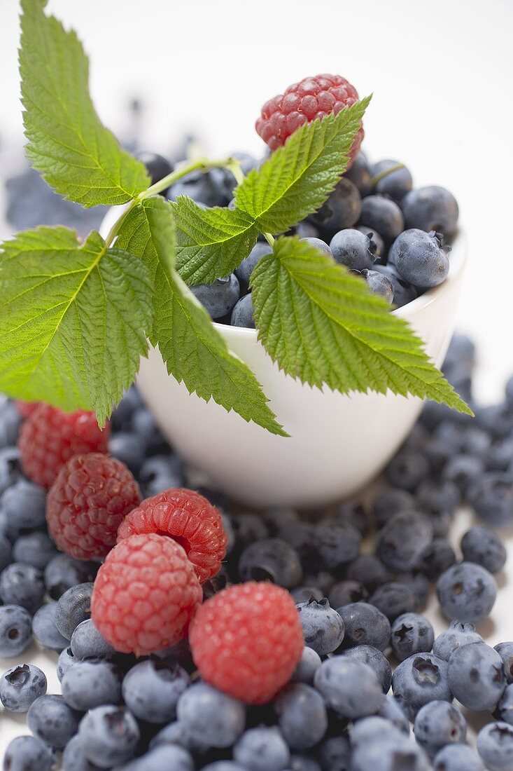 Heidelbeeren und Himbeeren mit Blättern, teilweise in Schale