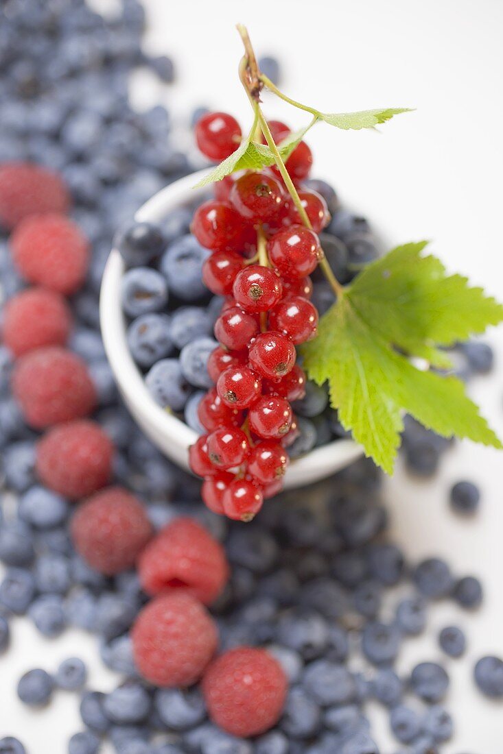 Blueberries, raspberries, redcurrants, some in bowl