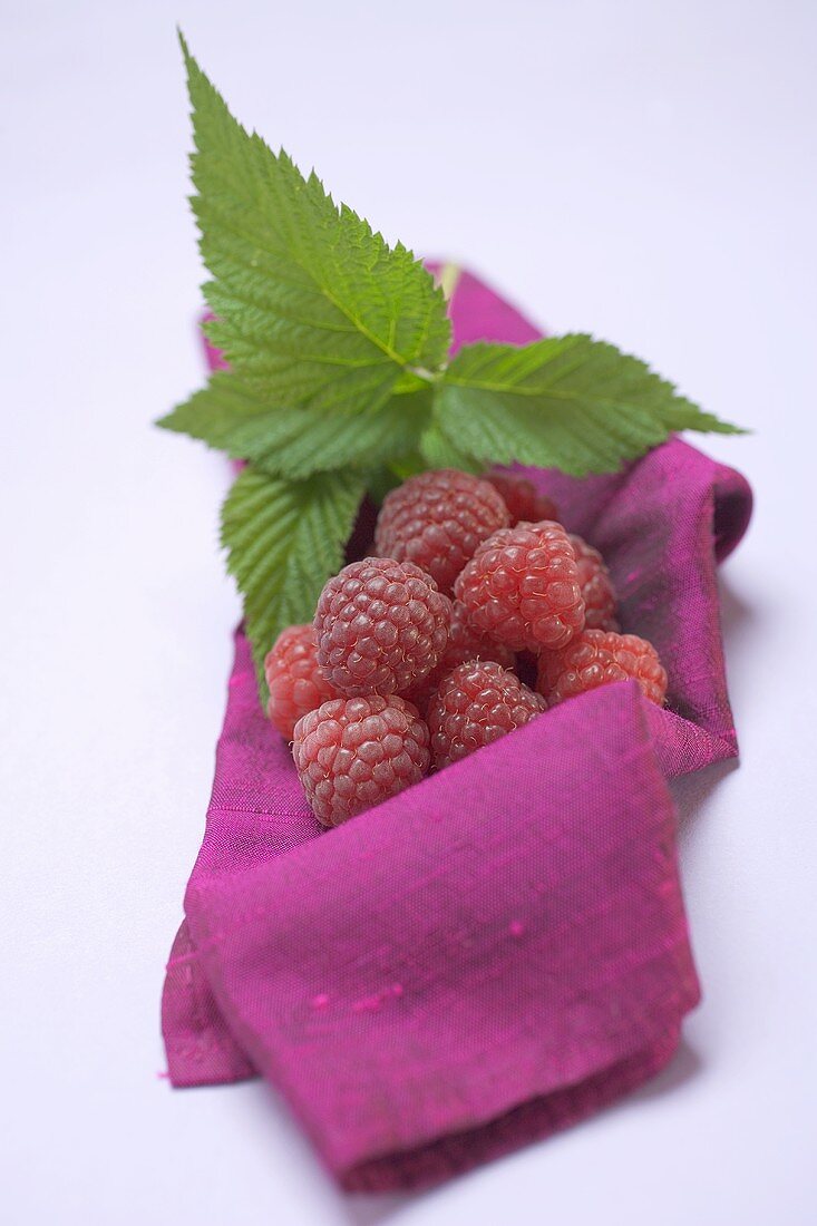 Himbeeren mit Blättern auf violettem Tuch