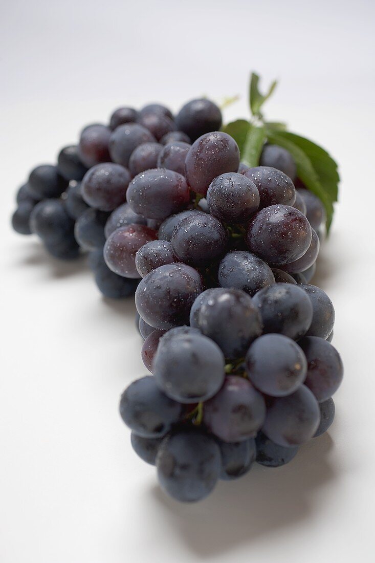 Black grapes with leaf