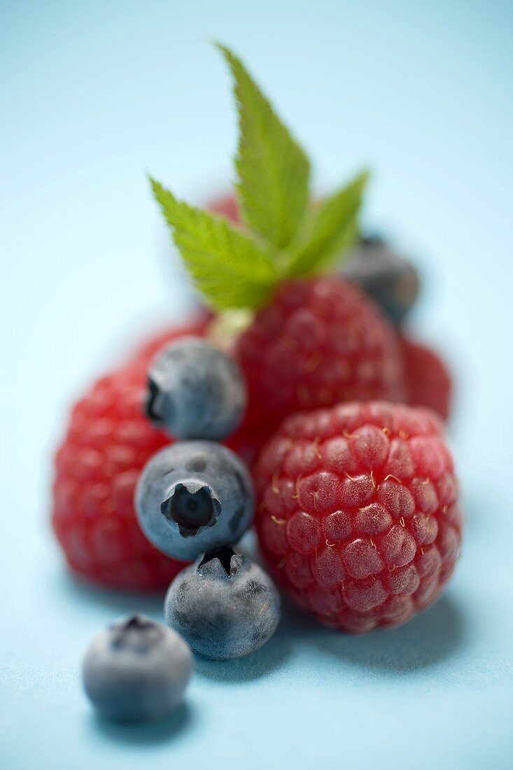 Heidelbeeren und Himbeeren mit Blättern auf blauem Untergrund