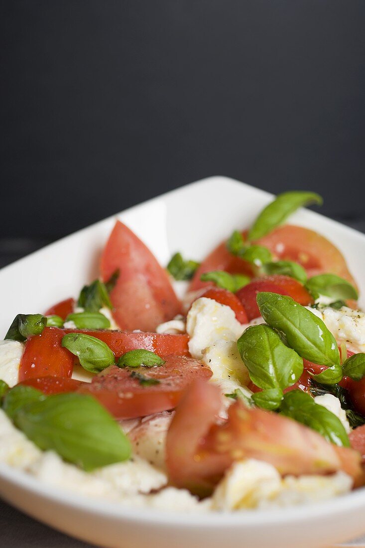 Tomatoes with mozzarella and basil