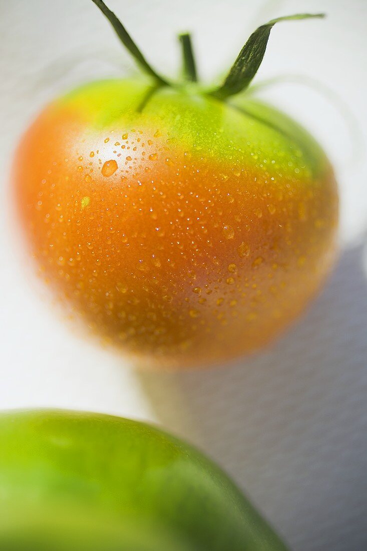 Tomatoes, green and orange, with drops of water