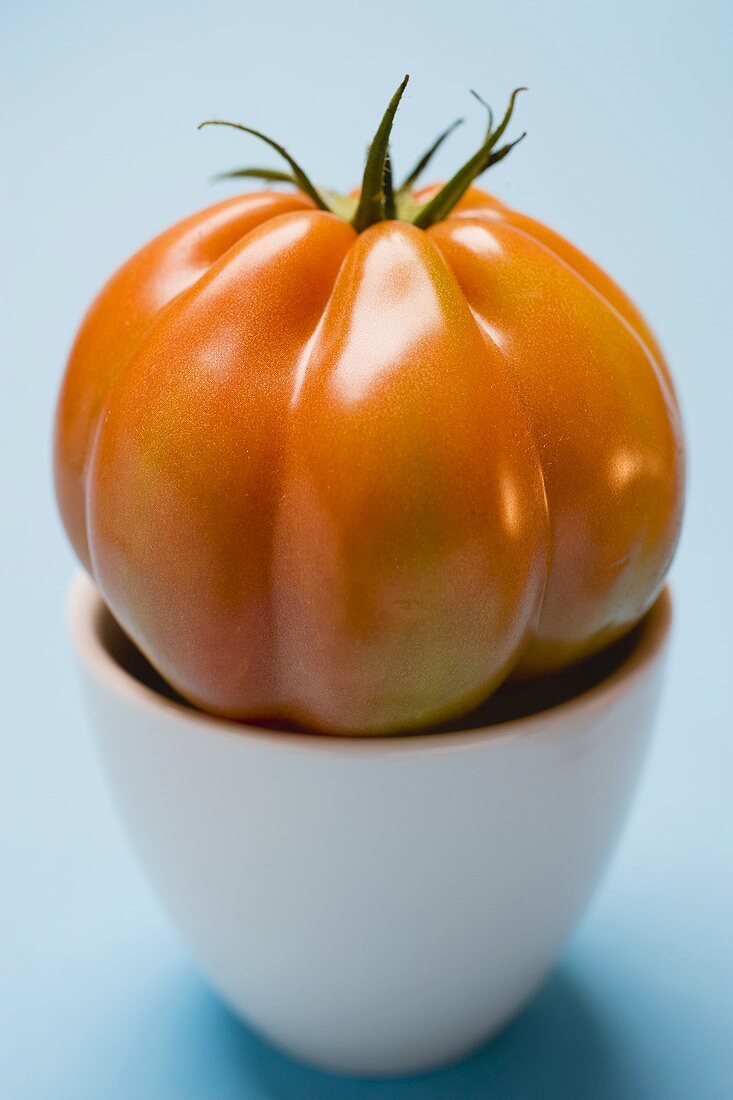 Tomate in Schale auf hellblauem Untergrund