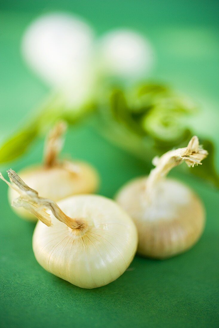 Various types of onions on green background