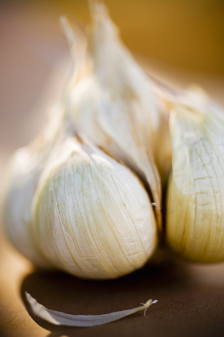 Garlic bulb (close-up)