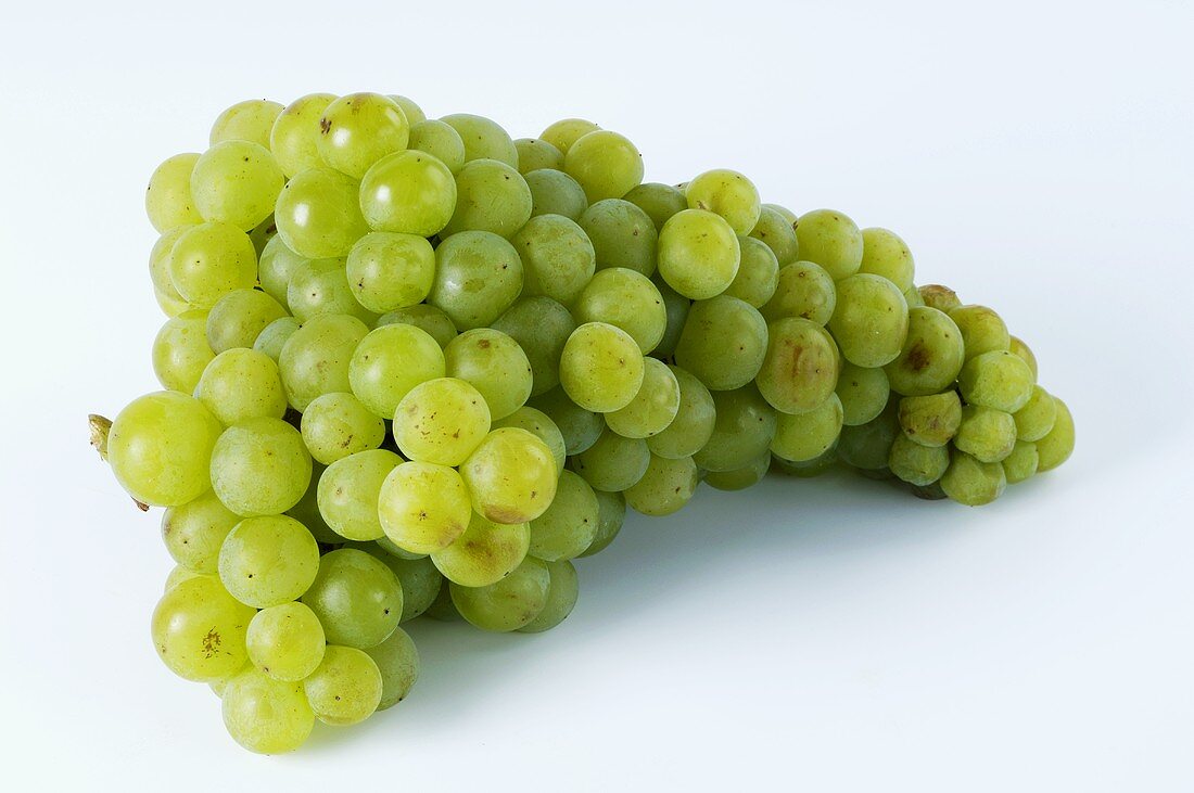 Green grapes, variety Muskateller