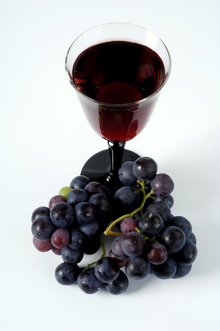 Glass of red wine and black grapes (Trollinger grapes)