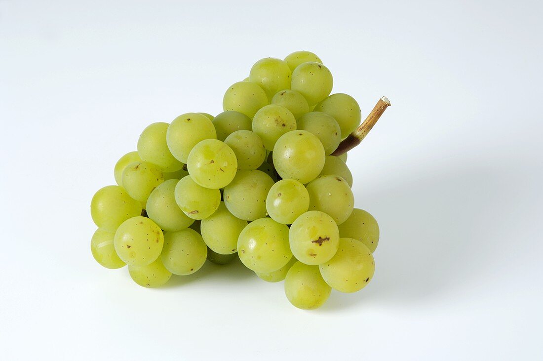 Green grapes, variety 'Kanzler'