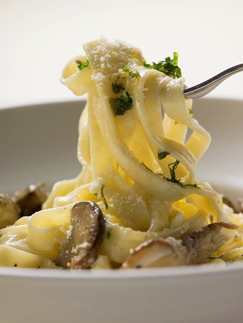 Tagliatelle with ceps and herbs on fork and plate