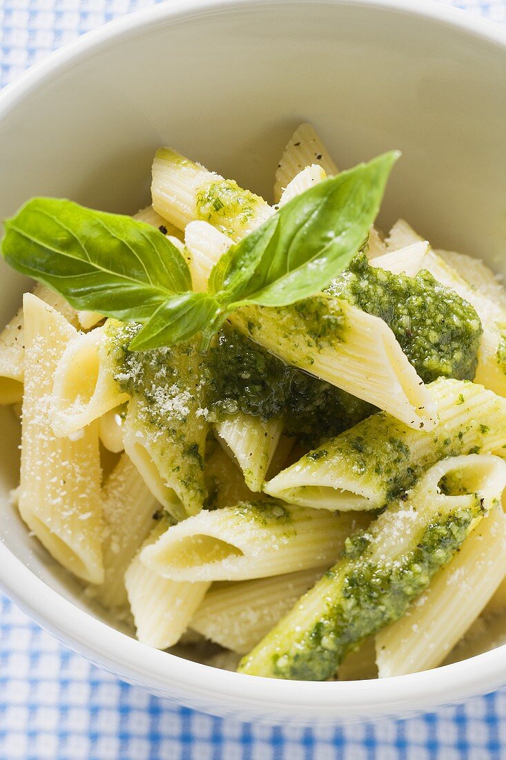 Penne mit Pesto und frischem Basilikum