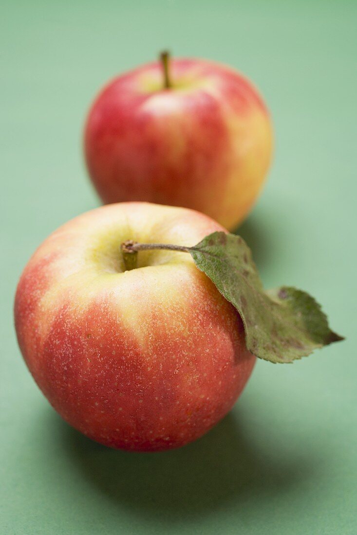 Two Elstar apples, one with leaf